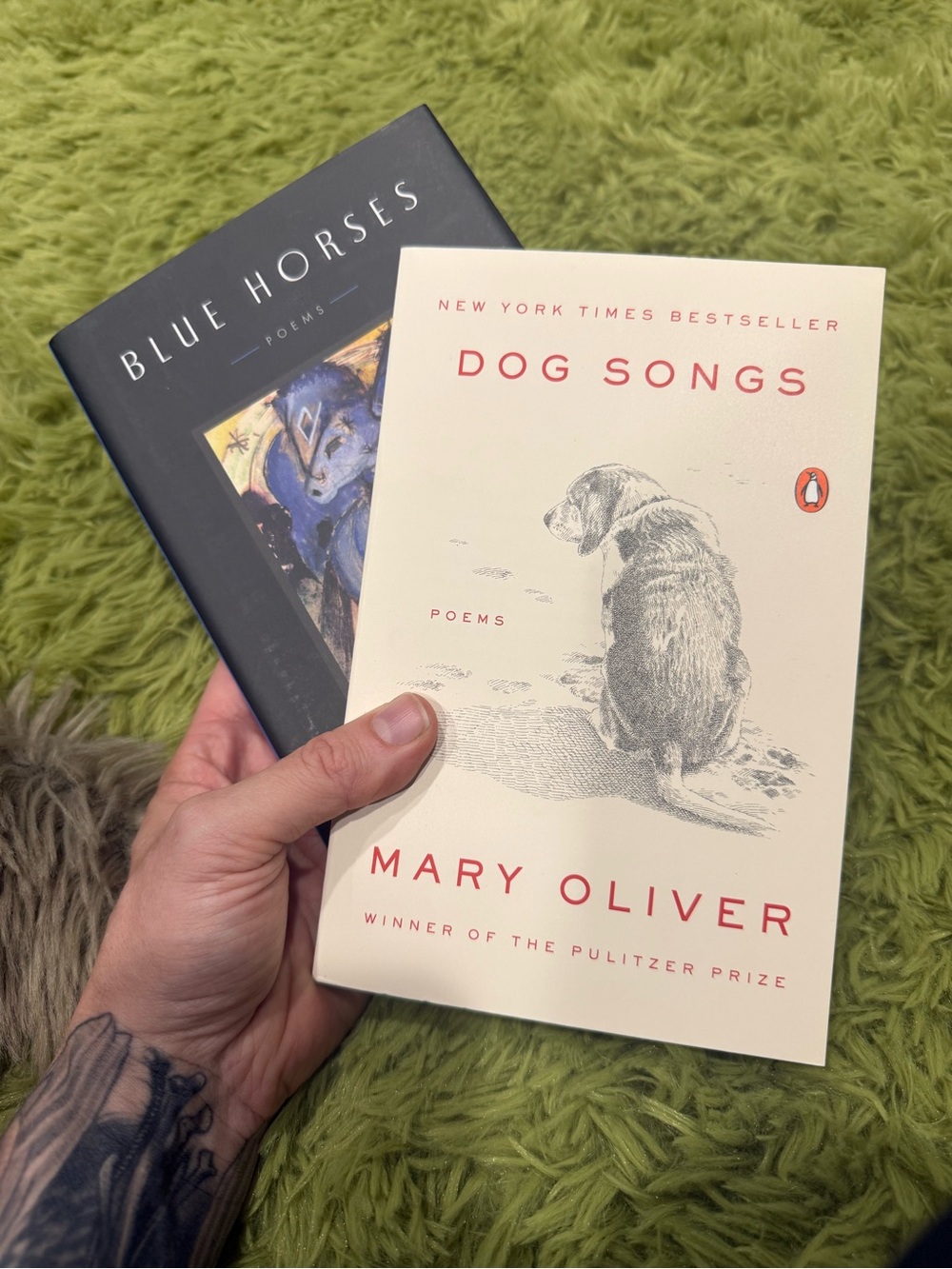 Dog Songs Paperback & Blue Horses Poems HardCover by Mary Oliver